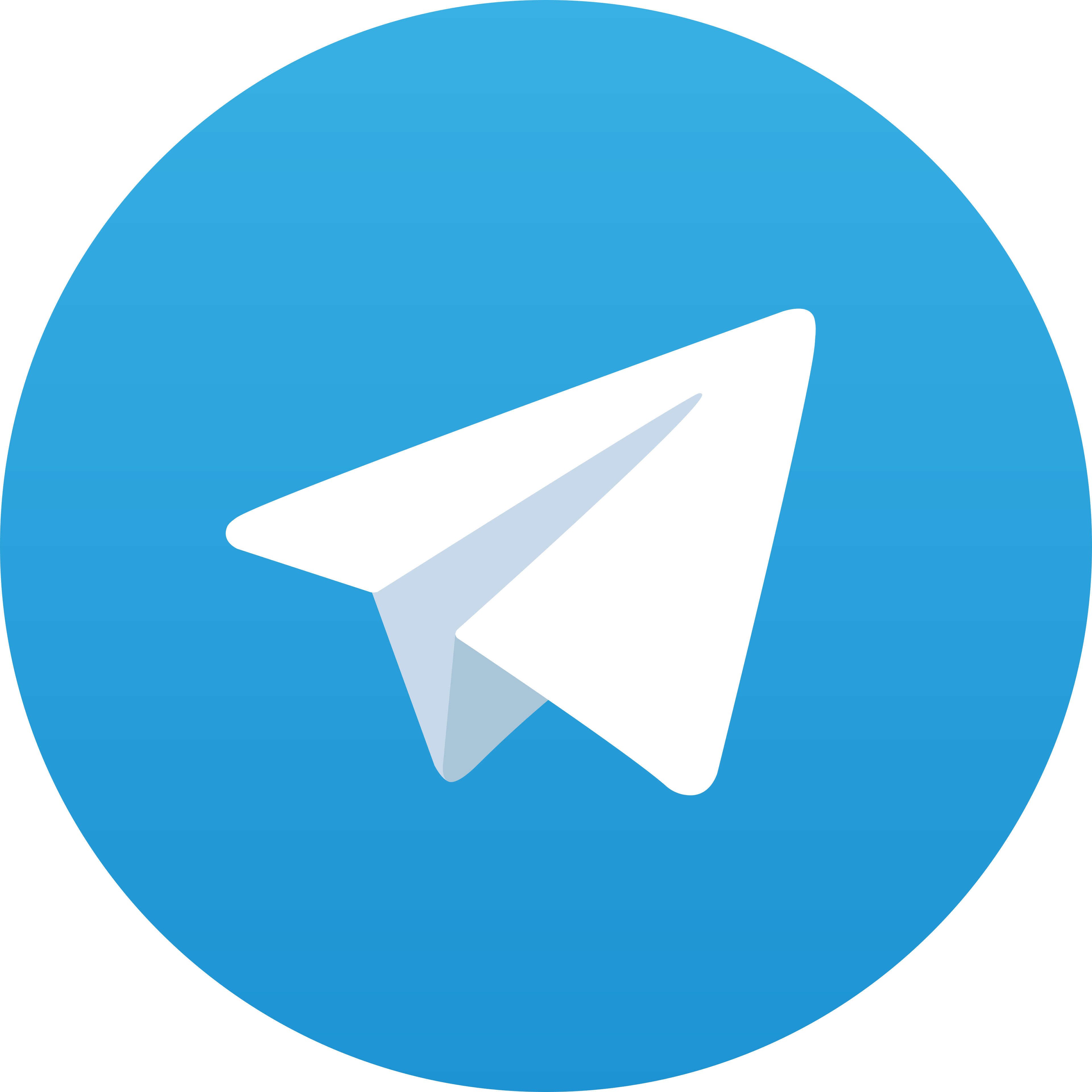 Telegram TEMAN288